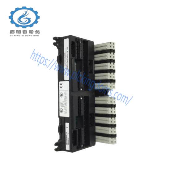 GE FANUC IC670CHS002