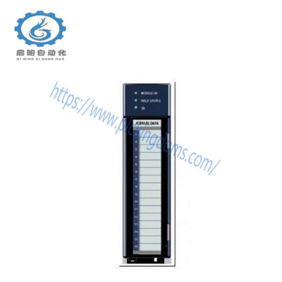 GE Fanuc IC694ALG220 PAC Systems RX3i
