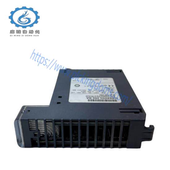 GE Fanuc IC694MDL250  PAC Systems RX3i