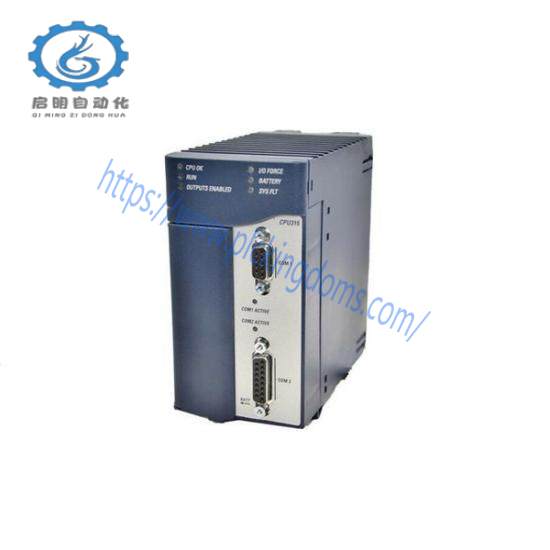 GE FANUC IC695CPU310PAC CPU Memory
