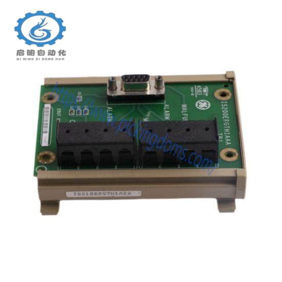 GE FANUC IS200ERGTH1AAA Circuit board