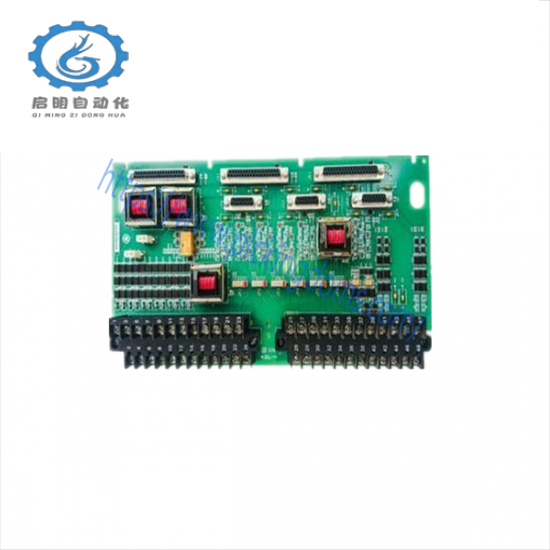 GE FANUC IS200TSVOH1BBB Servo terminal block