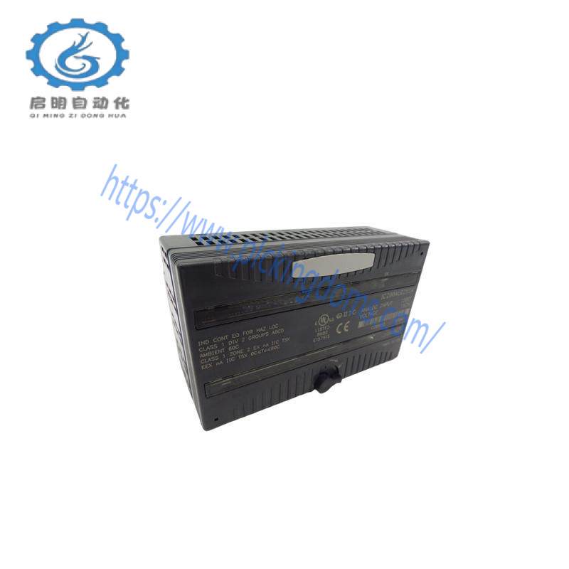 GE IC200ALG265A Analog Input Module