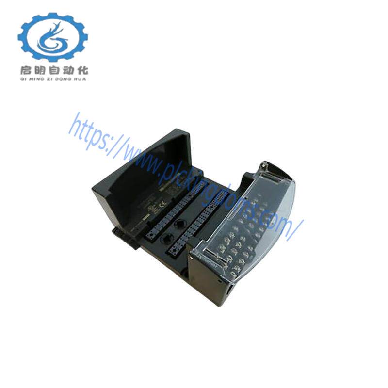 GE IC200CHS002 I/O Carrier