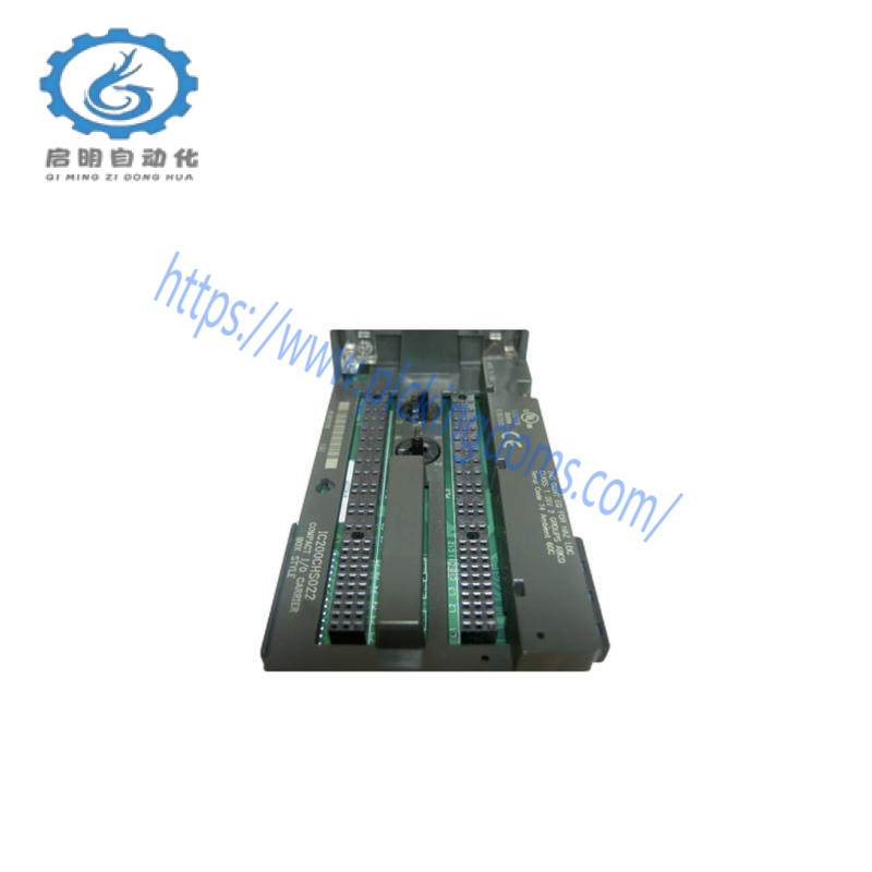 GE IC200CHS022 carrier module