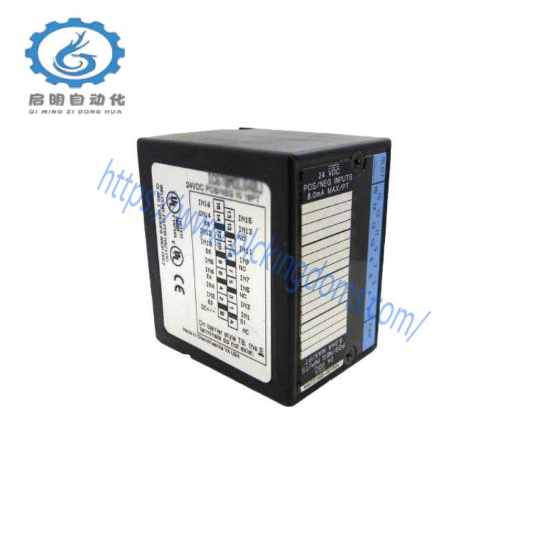GE IC670ALG310