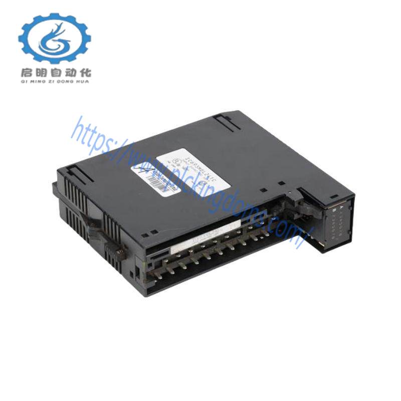 GE IC693MDL241 Positive/Negative Input module