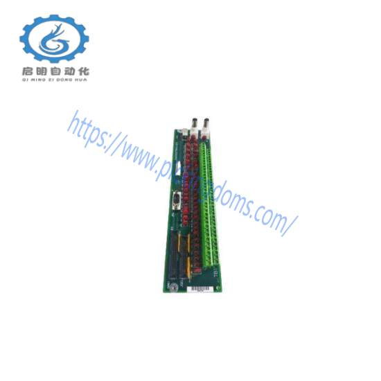 General Electric DS200TBQAG1A1 RST Terminal Board