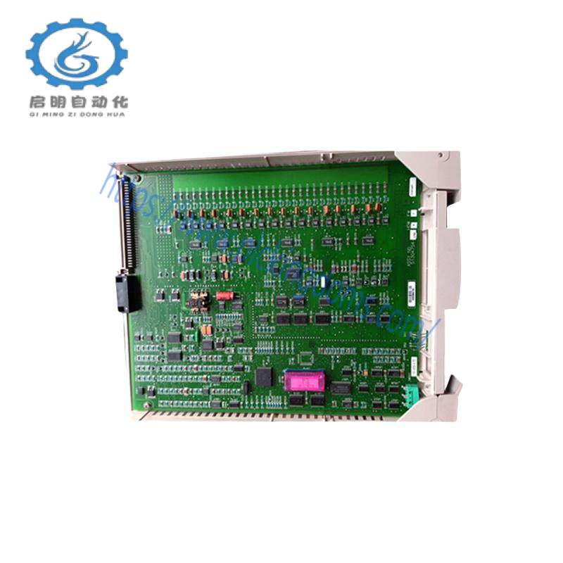 HOEYWELL 51306386-150 Input Module