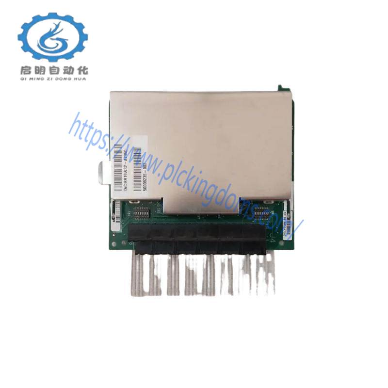 HOEYWELL 900A16-0106 Analog Input