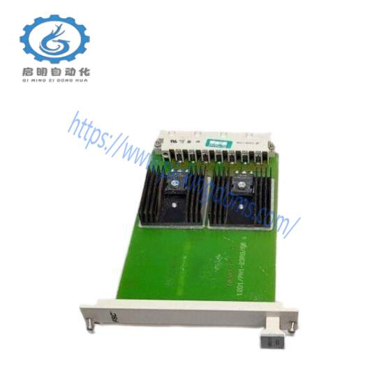 Honeywell 10303/1/1  Power Supply Module