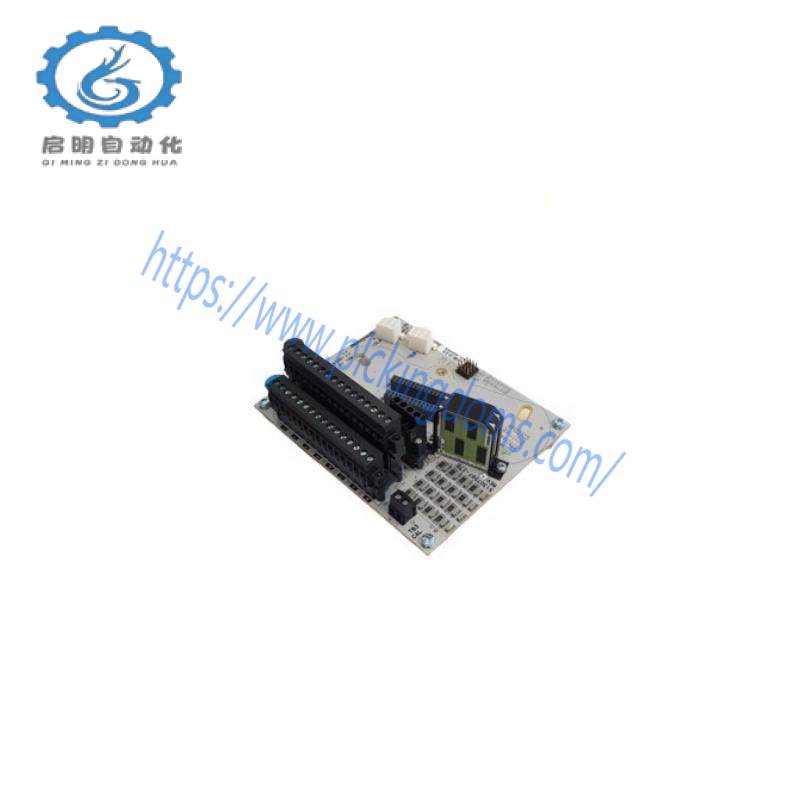 Honeywell DC-TAIX01 51307597-176 Analog Input Module