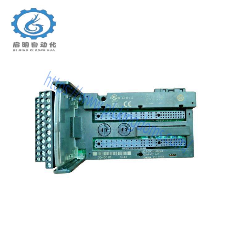 GE IC200CHS022J Analog input MODULE