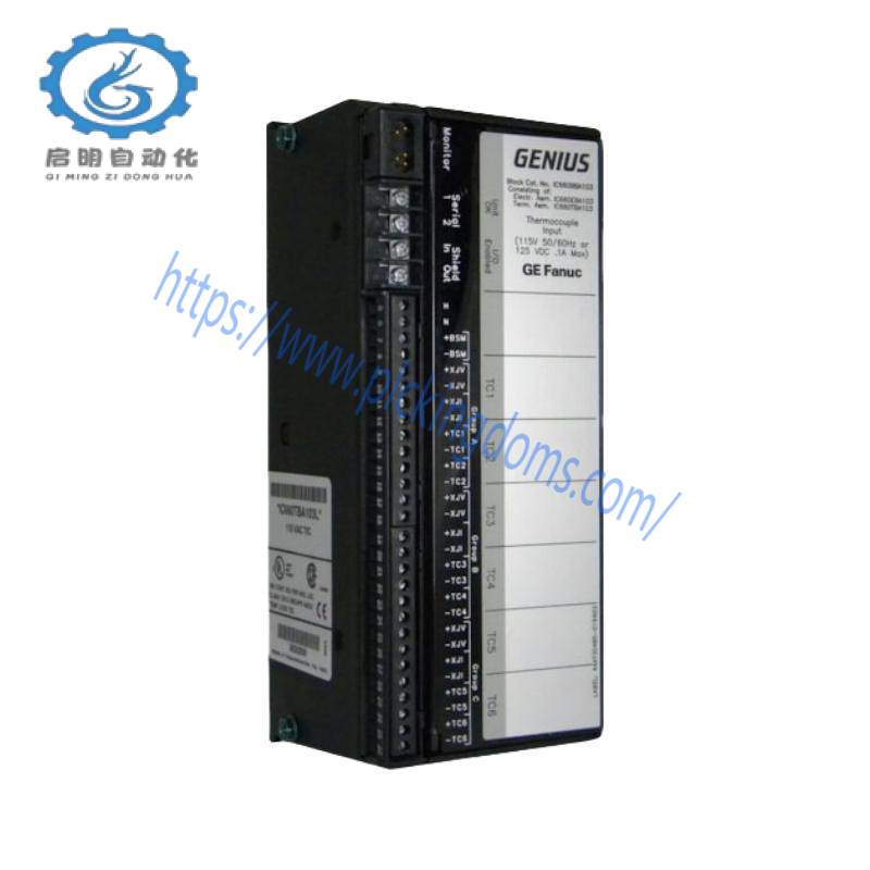 GE Fanuc IC660BBA026 Current-Source Input Block