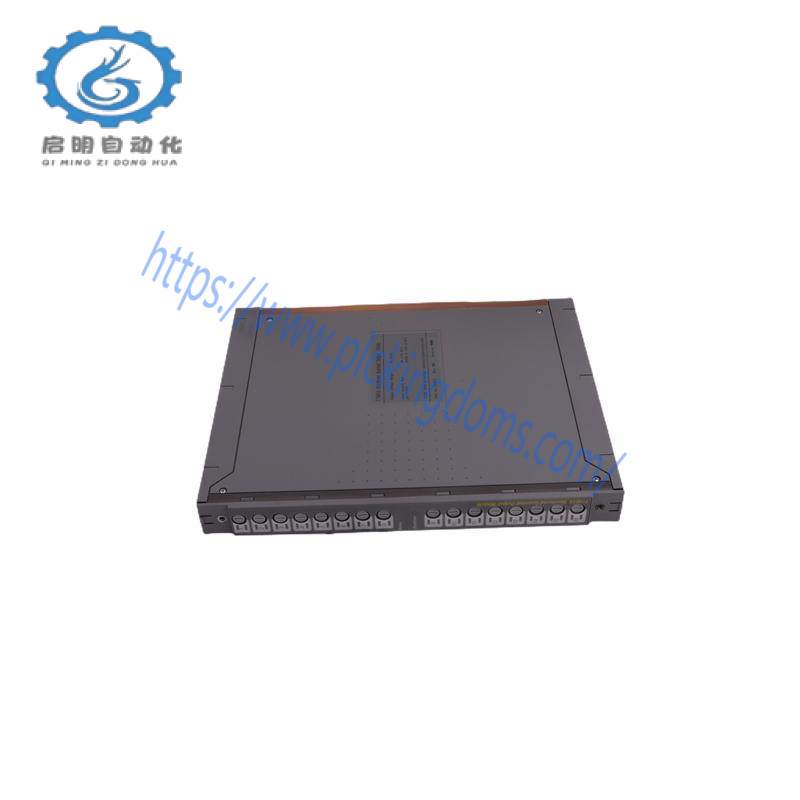 ICS TRIPLEX T3510 POWER SUPPLY MODULE