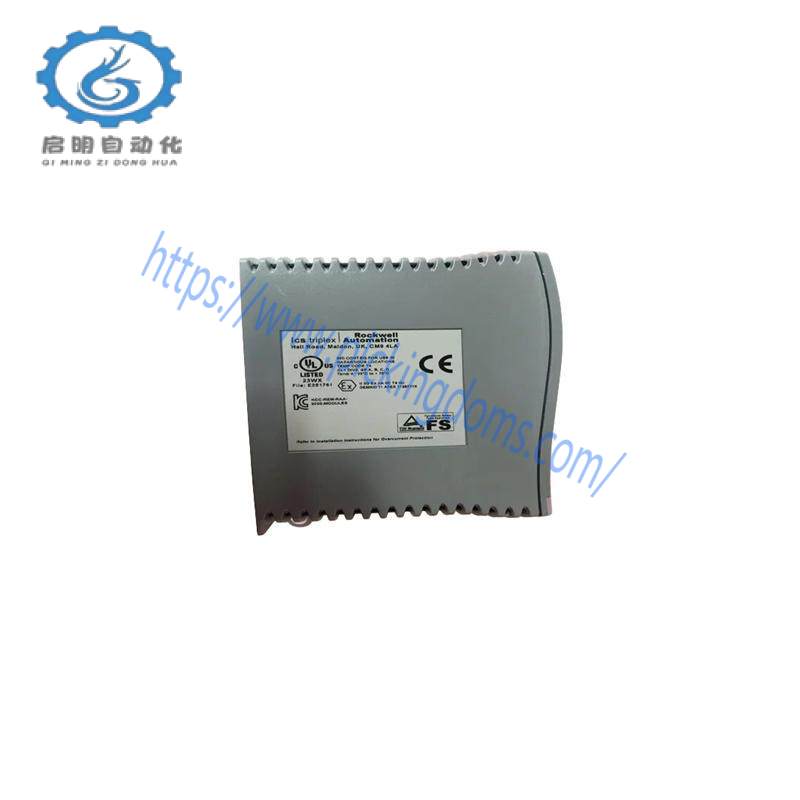 ICS TRIPLEX T8191