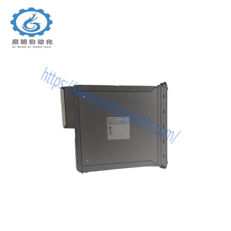 ICS TRIPLEX T8191