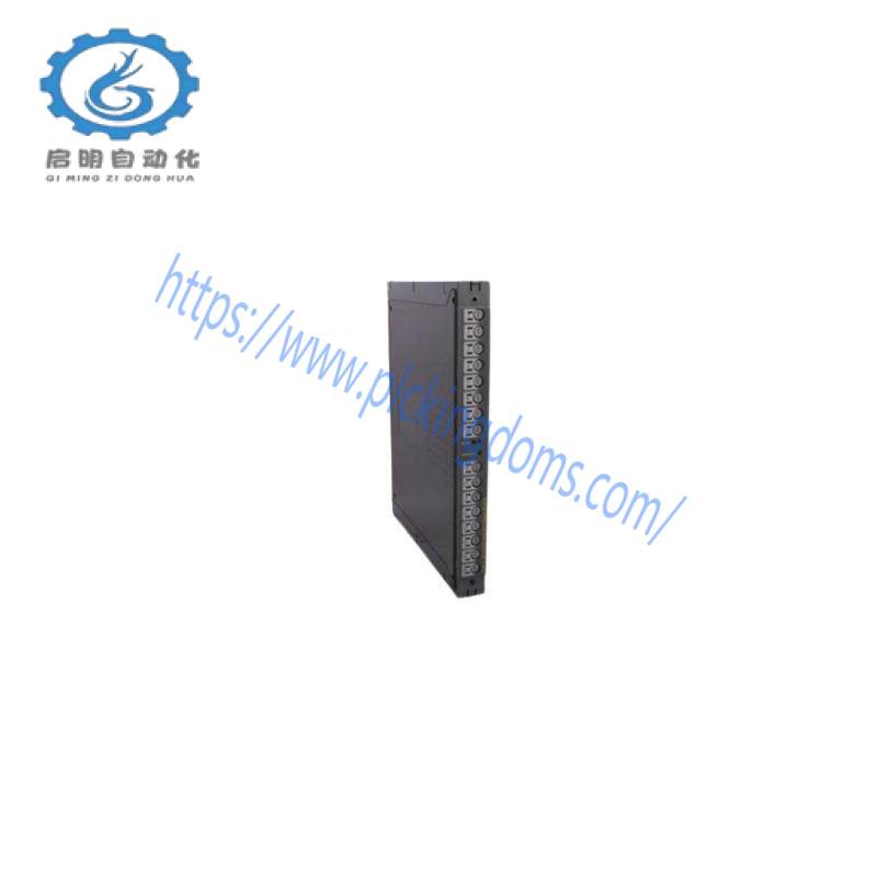 ICS TRIPLEX T8231C Power Pack