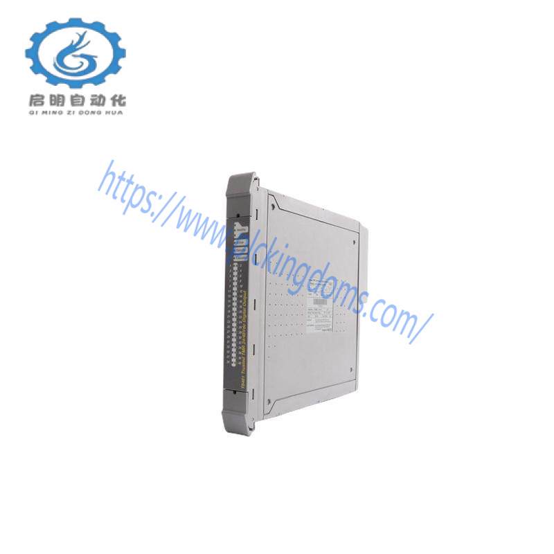 ICS TRIPLEX T8310 EXPANDER INTERFACE