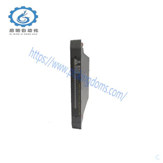ICS TRIPLEX T8402 digital input module