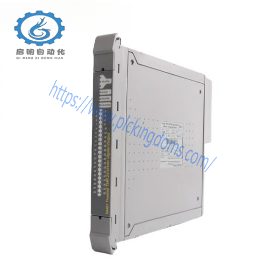 ICS TRIPLEX T8461C