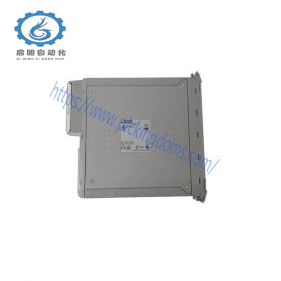 ICS Triplex T8461C Digital Output Module