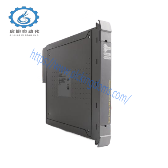 ICS TRIPLEX T9310-02