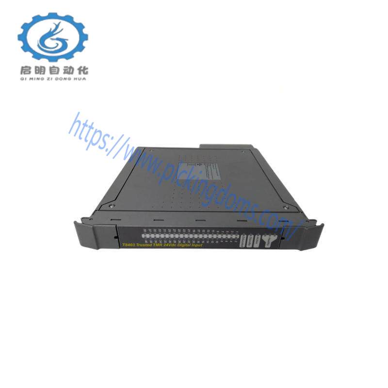 ICS TRIPLEX T9801 Analogue Output
