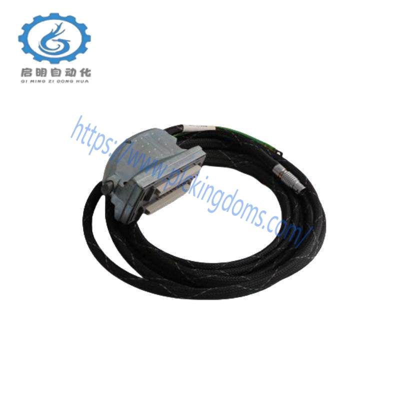 ICS TRIPLEX TC-301-02-2M0