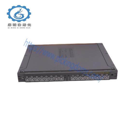 ICS TRIPLEX TC-301-02-2M0
