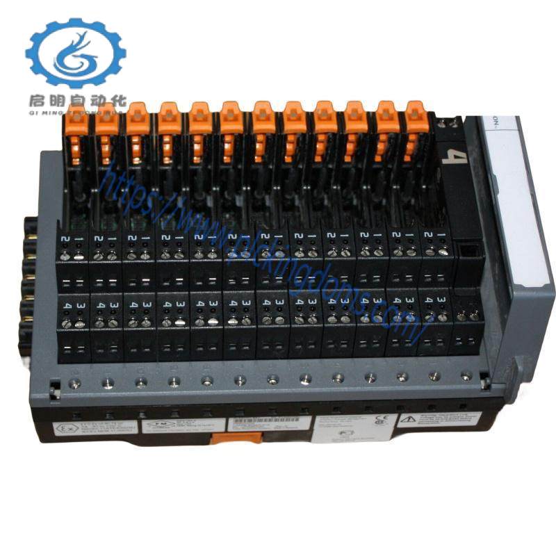 Emerson RXE2N0Q7G132A