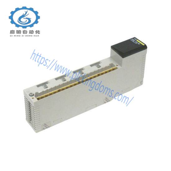 Modicon AS-B875-002