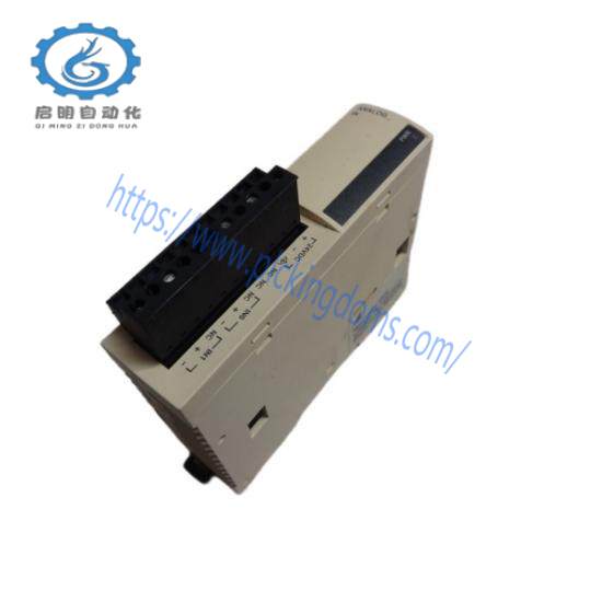 Modicon TWDAMI2HT  Schneider Electric Input Module 2 Point Analog