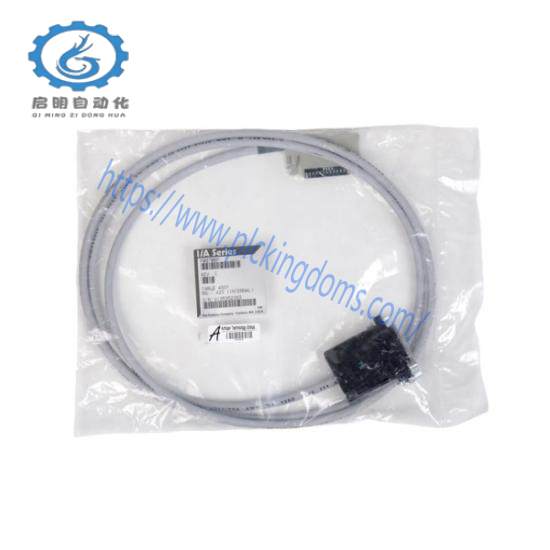 P0970BM  Foxboro RS-423 (Internal) Cable Assembly