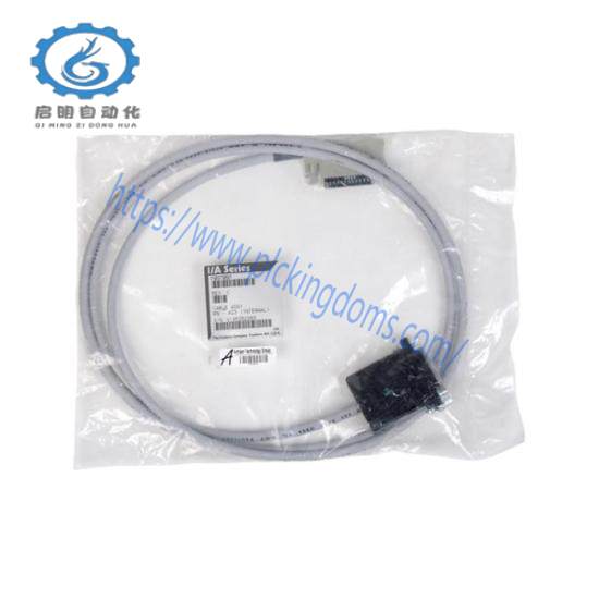 P0970BP  Foxboro RS-423 (Internal) Cable Assembly