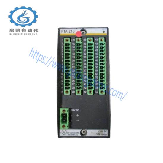 PAAI216  Analog Modules  Bachmann