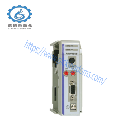 Prosoft PS69-DPS NETWORK INTERFACE MODULE