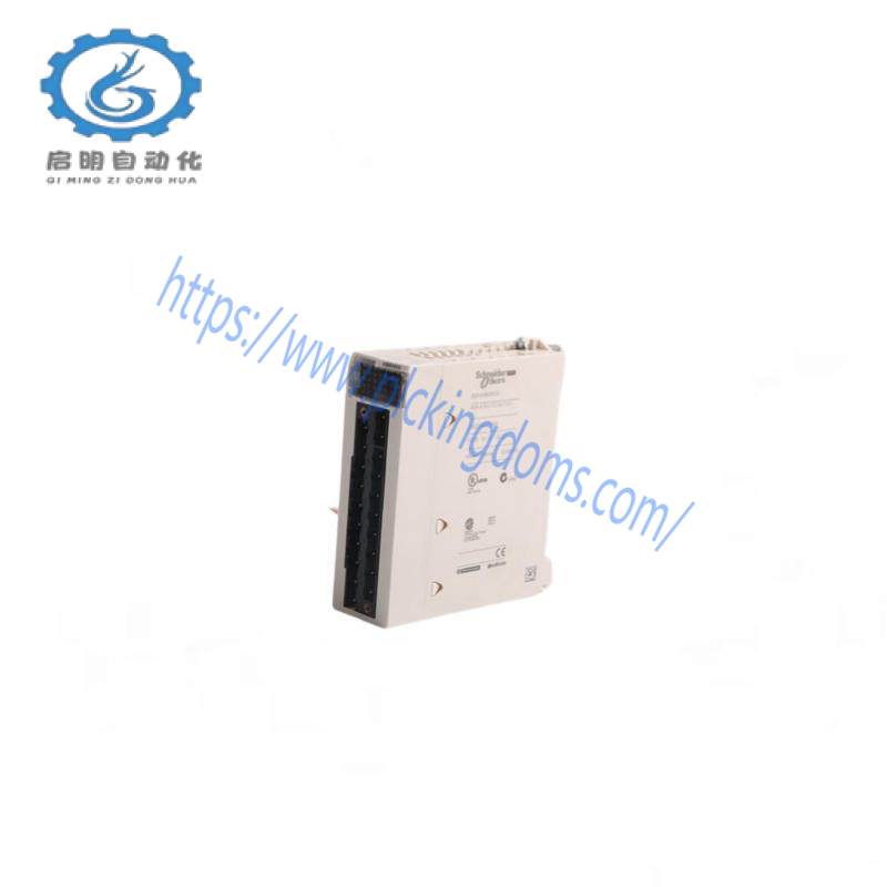 SCHLEICHER UST21