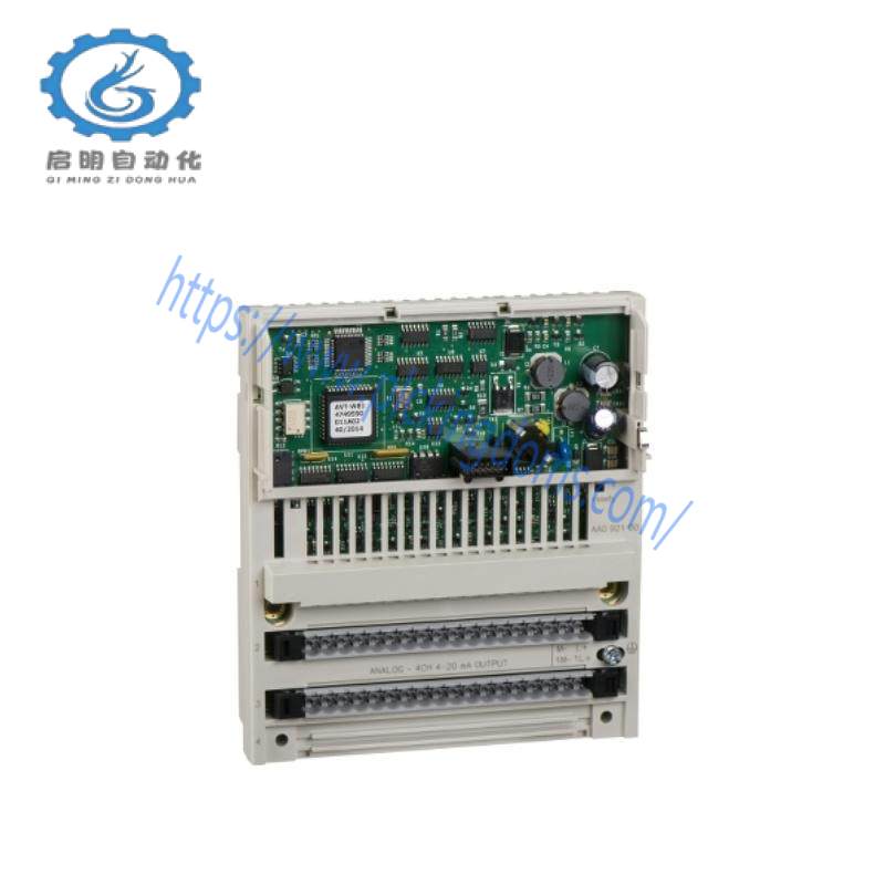 Schneider 170AAO92100 Analog Output