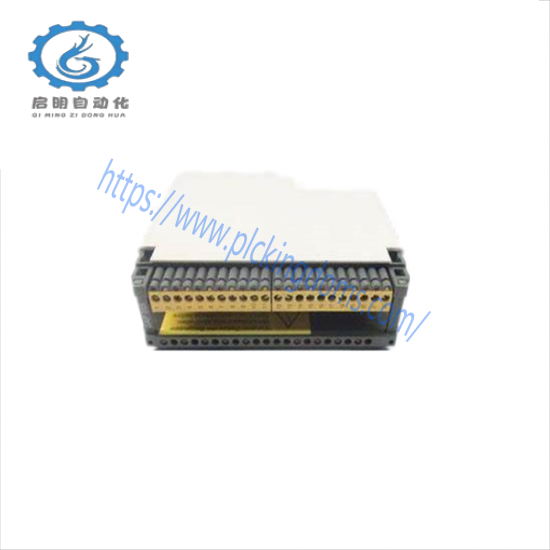 SCHNEIDER AS-BDAP-208 Discrete Output Relay
