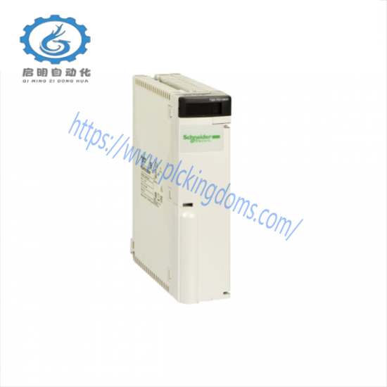 SCHNEIDER AS-BDAP-218