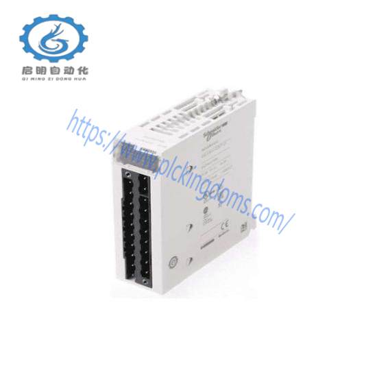 Schneider BMXAMM0600 analog I/O module