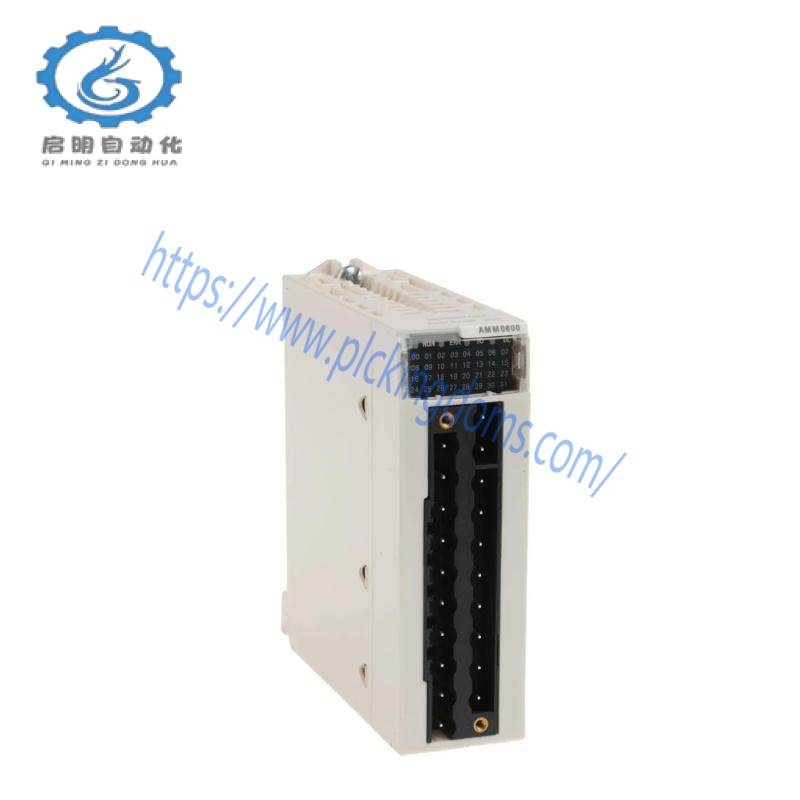 SCHNEIDER BMXAMM0600 mixed analog I/O module