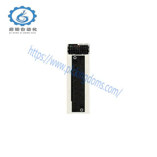 Schneider BMXDDM16025 discrete mixed IO module