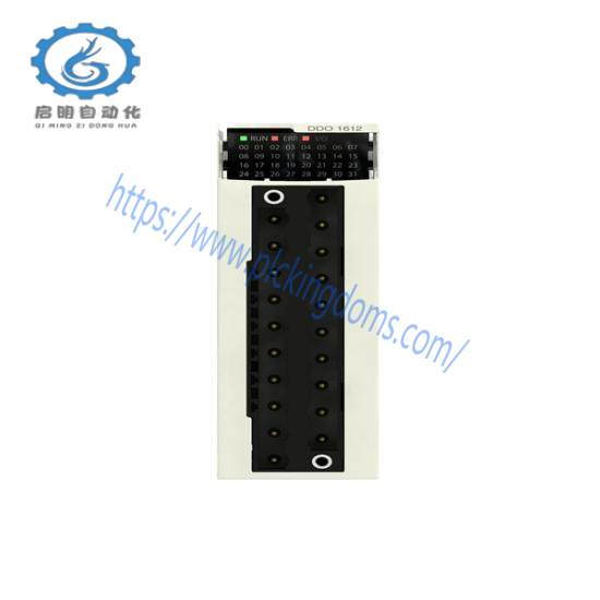 Schneider BMXDDO1612 discrete output module