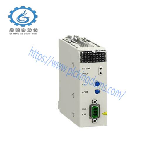Schneider BMXEIA0100 master module