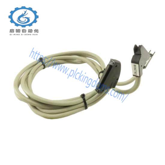 Schneider BMXFCC203 Discrete I/O Cable