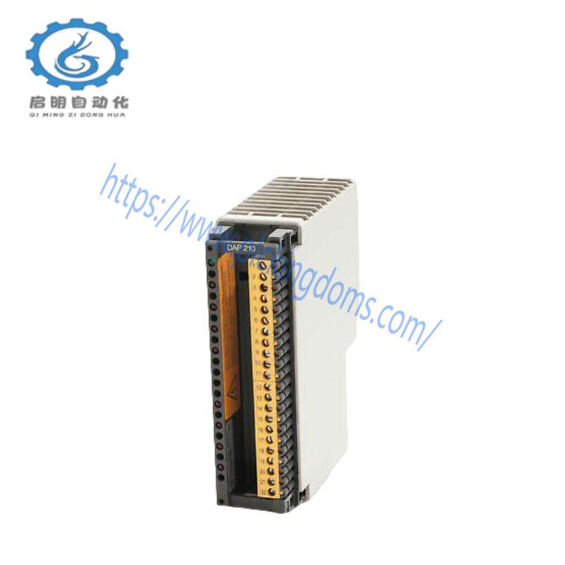 Schneider DAP210/AS-BDAP-210 DISCRETE OUTPUT MODULE