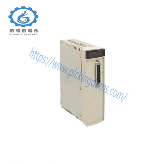 Schneider Electric TSXAEY420 Analog input module