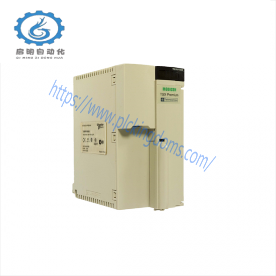 SCHNEIDER TSXPSY5500 Power Supply Unit